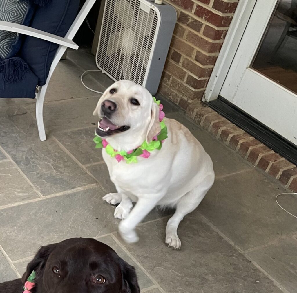 Molly and Mercy